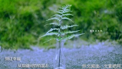 梦间集精彩语录