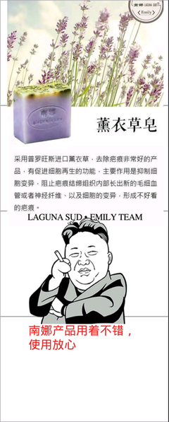 关于涛涛名句欣赏