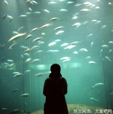 《记忆是时光缩影》经典语录大全