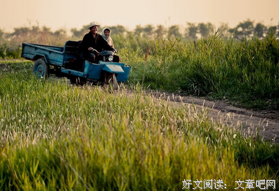 《陌上云暮迟迟归》语录摘抄大全