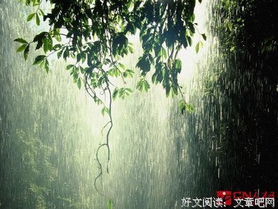 最全的《细雨喃喃 伽蓝雨》名句欣赏