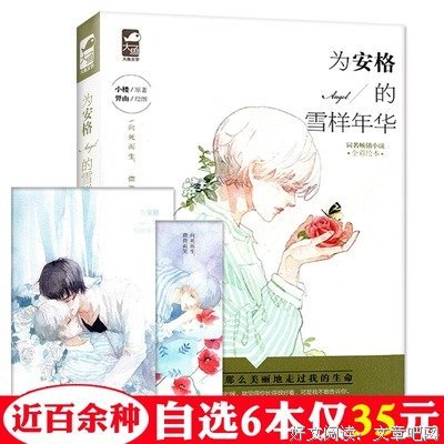 最经典的《为安格的雪样年华》小说书摘