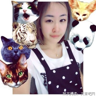 最经典的《我不愿让你一个人》佳句摘抄大全
