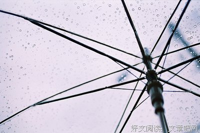 最全的《我等你到三十五岁》经典语录
