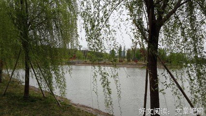 《不畏将来 不念过去》佳句摘抄