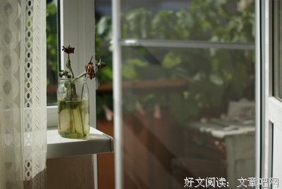 《世界尽头与冷酷仙境》经典的句子大全