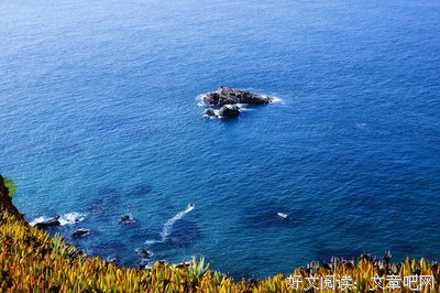 最全的《北纬三十三度的爱恋》名句欣赏大全