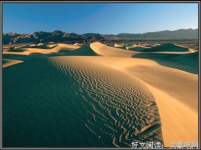 有关仲舒的美句摘抄
