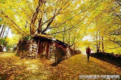 一成不变的句子