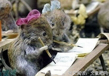 关于会用七打然国的句子