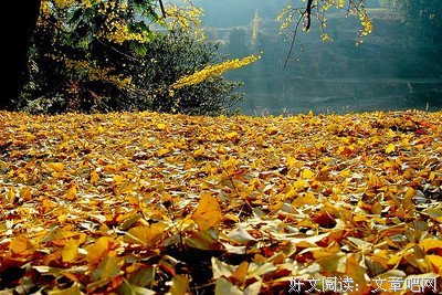 《情感》的句子