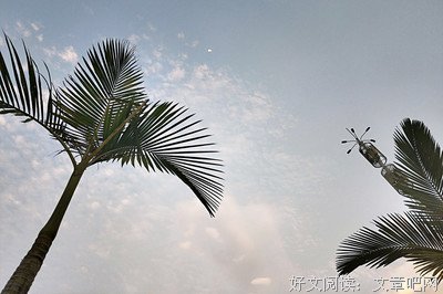 锦色年华好词好句
