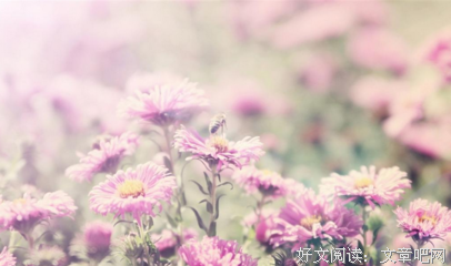 关于空间的优美句子