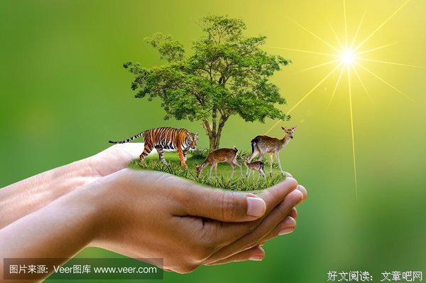 鹿畔阳光i经典名句