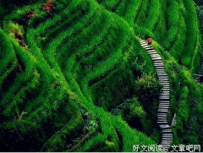 me精彩语录