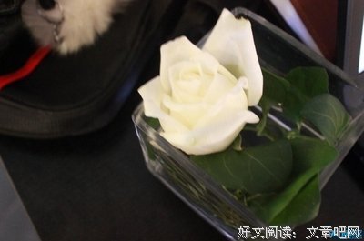 关于吴瑜经典名句