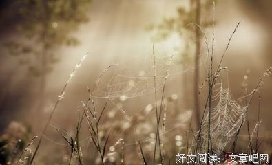 2019加缪名言警句