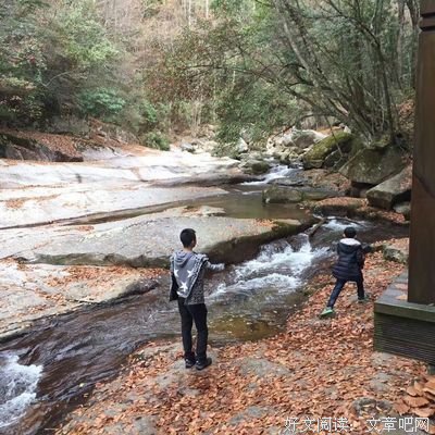 叶迷的名言名句
