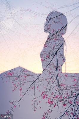 最全的《有美一朵，向晚生香》散文美句