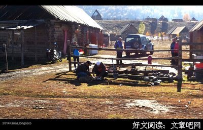 最全的《穿越，攻略，捡节操》经典语句