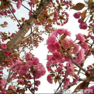 最全的《世界上最伟大的推销员》名句欣赏
