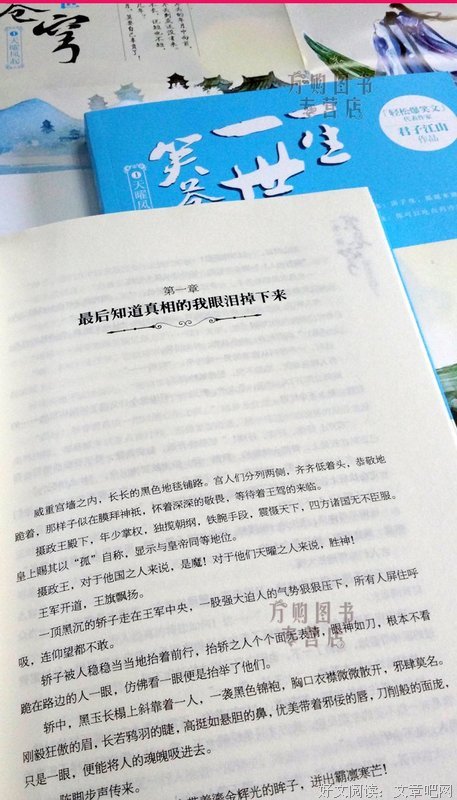 最全的《报告摄政王之太子要纳妃》经典句子