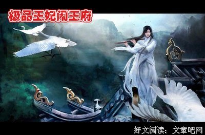 最全的《出心只来于数小毒妃》经典语句大全