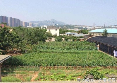 最新的《用并成姚国却家承包商》好段摘抄大全