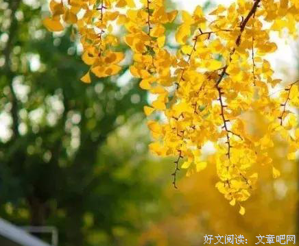 看得透、放得下，拈花一朵