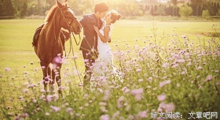 有关老骥的美文美句摘抄