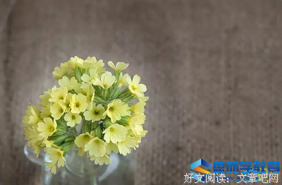 关于白敬亭的座右铭