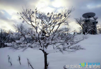 关于春风声会后还不岁并主第不如你的优美句子