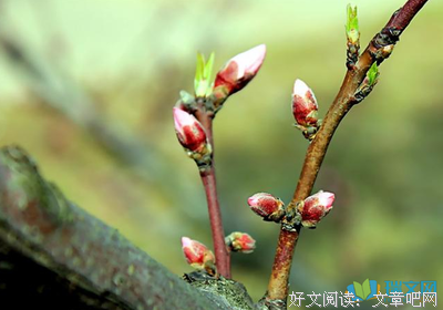 余华智慧集句子大全