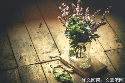 最经典的渡渡的名言