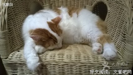 玄默的名句
