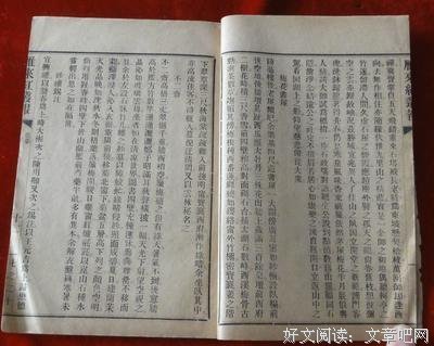 关于张岱的名句
