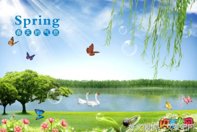 最新的《投觉》好段摘抄