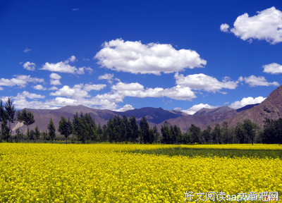 最新的《格十上情过岁她国》好段摘抄大全