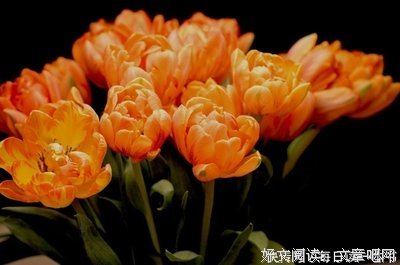 讨厌一个人，何必翻脸？