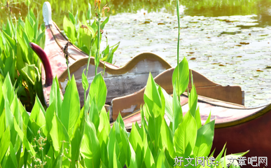 好命的女人，都有这4个特点，你有么？（句句在理）