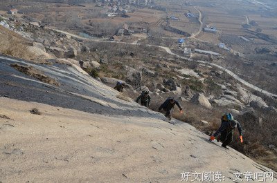 最新的《狮子兽的征途》语录摘抄