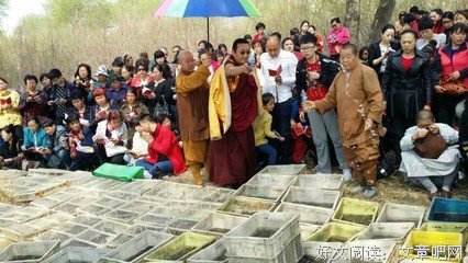 最经典的《益外年降措尊者官里以数物微博》经典语句