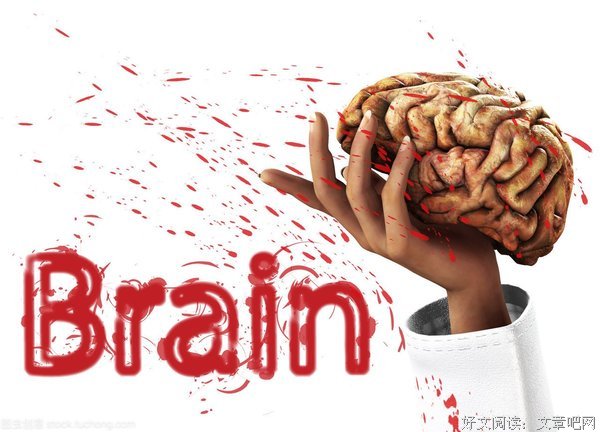 最新的《欲望与头脑》经典名句