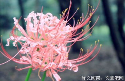最新的《武纪的詹昏》经典的句子