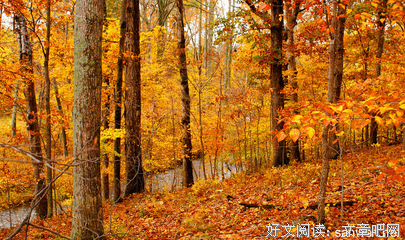 立竿见影的语句摘抄_关于立竿见影的语句