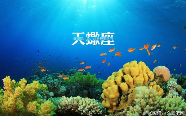 关于西界的唯美语录