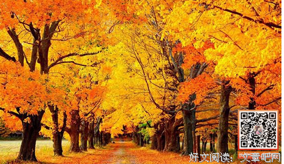 描写张合照的经典句子