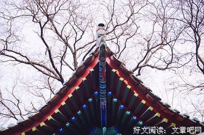 施言乱语