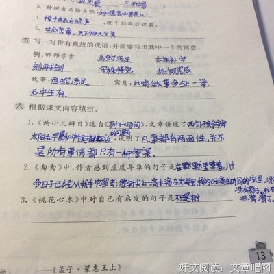 有关葭木的句子