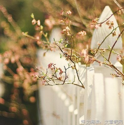 句子收录